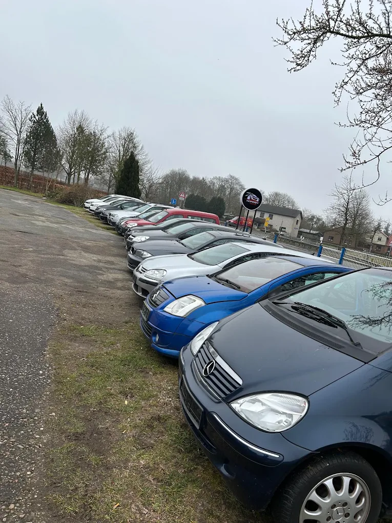 Fahrzeuge auf dem Gelände von Norden Auto & Service